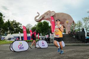 BIB: 
                            <button type="button" onclick="openModal(26529059)" class="btn btn-primary btn-sm float-right btn-popup" data-toggle="modal" data-target=".modal-high-quality">
                        <i class="fas fa-shopping-cart"></i> Add to Cart
                    </button>
                                            <button type="button" onclick="isThisMe(26529059, true)" class="btn btn-success btn-sm float-right btn-popup btn-isme hidden" data-toggle="tooltip" data-placement="bottom" title="นี่คือรูปของคุณใช่ไหม คลิกที่นี่เพื่อเอาเข้าอัลบั้ม">
                        <i class="fas fa-plus"></i> Add to album
                    </button>
                    <button type="button" onclick="isThisMe(26529059, false)" class="btn btn-warning btn-sm float-right btn-popup btn-isnotme hidden">
                        <i class="fas fa-ban"></i> Remove from album
                    </button>